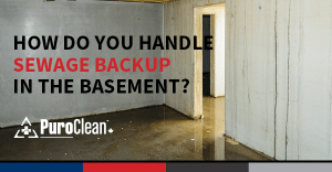 How Do You Handle Sewage Backup in the Basement?