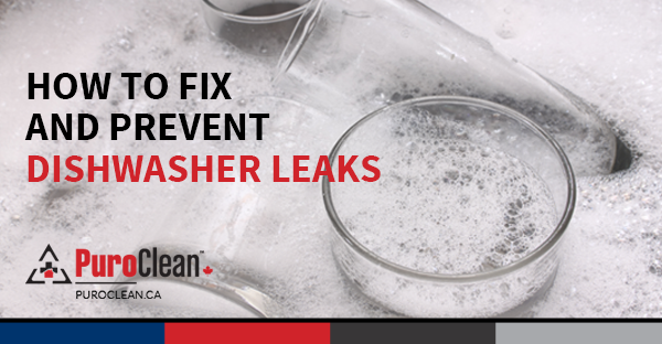 How to Fix and Prevent Dishwasher Leaks
