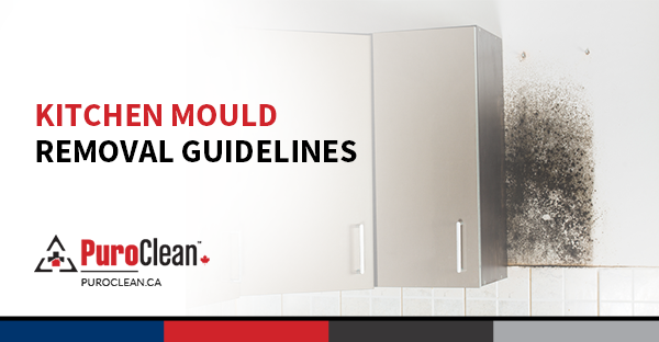 Kitchen Mould Removal Guidelines