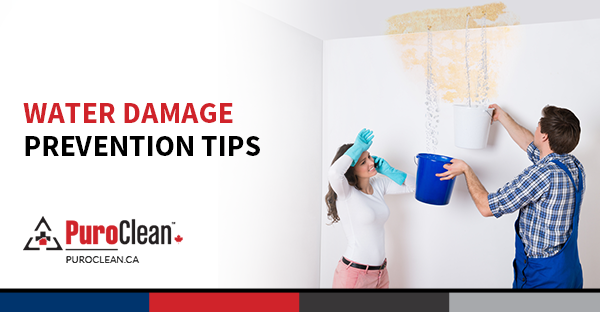 Water Damage Prevention Tips