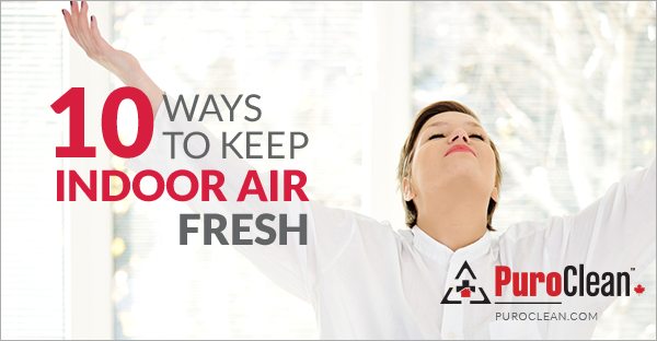 10 Tips to Freshen up Indoor Air