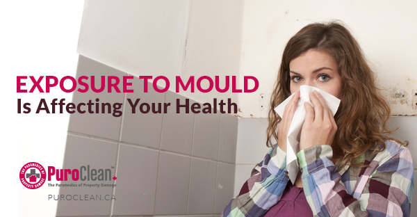 Exposure to Mould is Affecting Your Health