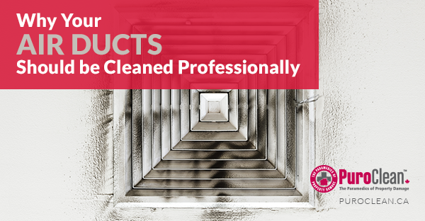 Why Your Air Ducts Should be Cleaned Professionally