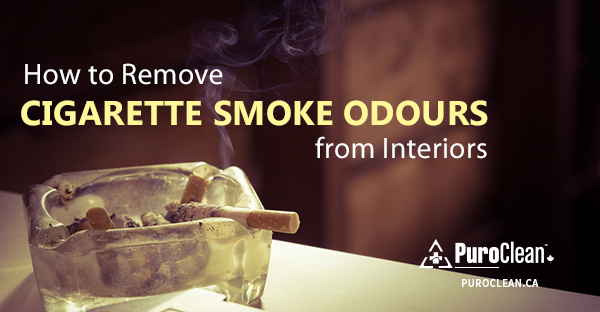 How to Remove Cigarette Smoke Odour from Interiors