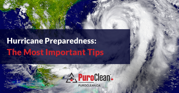 Hurricane Preparedness: The Most Important Tips