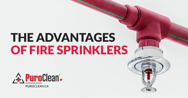 The Advantages of Fire Sprinklers