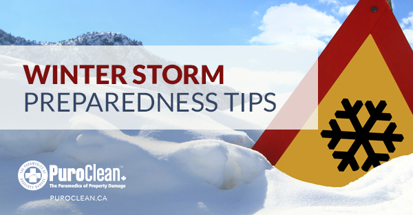 Winter Storm Preparedness Tips