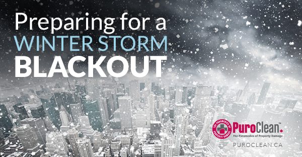 Preparing for a Winter Storm Blackout