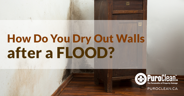 How Do You Dry out Walls after a Flood?