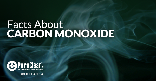 Facts About Carbon Monoxide