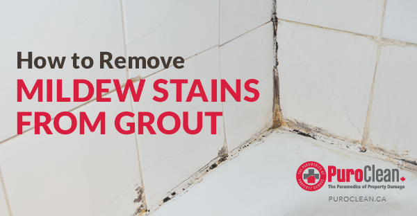 How to Remove Mildew Stains from Grout