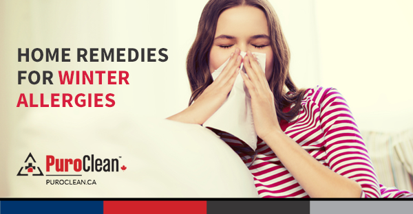 Home Remedies for Winter Allergies