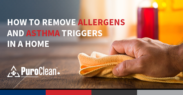 How to Remove Allergens and Asthma Triggers in a Home