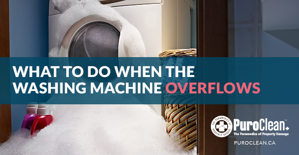 What to Do When the Washing Machine Overflows