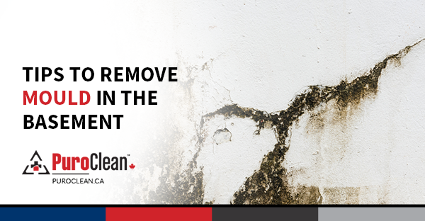 Tips to Remove Mould in the Basement