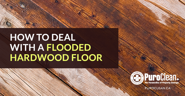 How to Deal with a Flooded Hardwood Floor