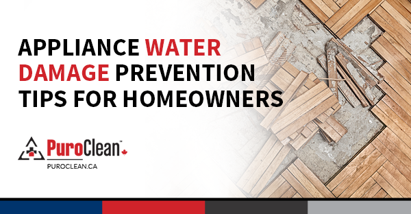 Appliance Water Damage Prevention Tips for Homeowners