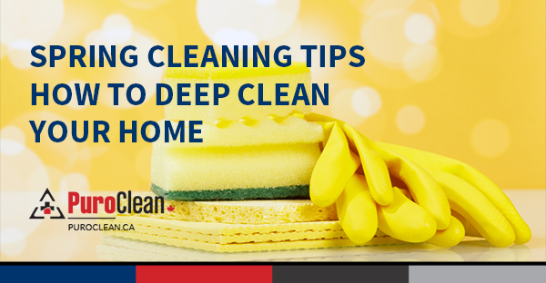 8 Simple Techniques For Winnipeg House Cleaning