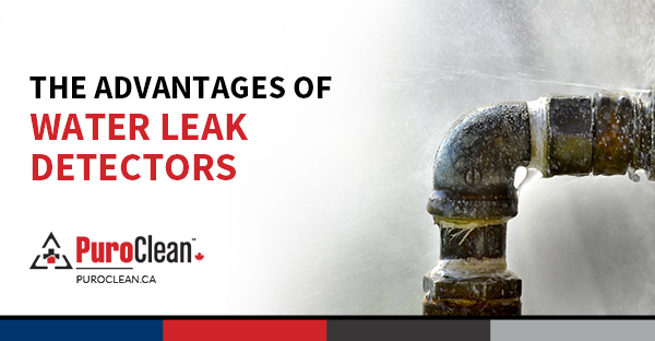 The Advantages of Water Leak Detectors