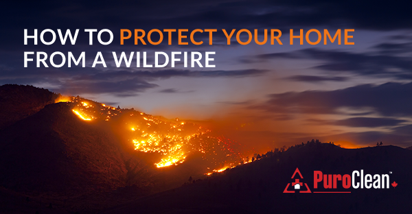 How to Protect Your Home from a Wildfire