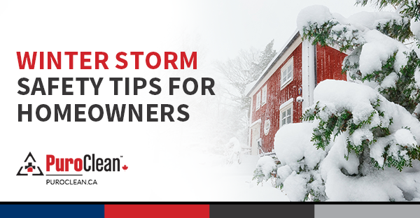 Winter Storm Safety Tips for Homeowners