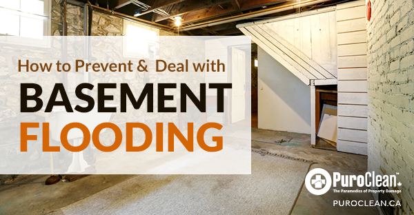 Basement Flooding, How To Get Basement Stop Flooding In Spring