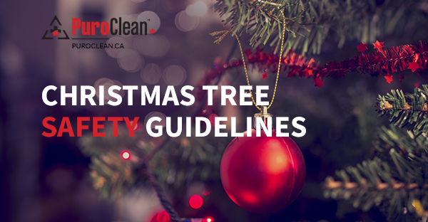 Christmas Tree Safety Guidelines