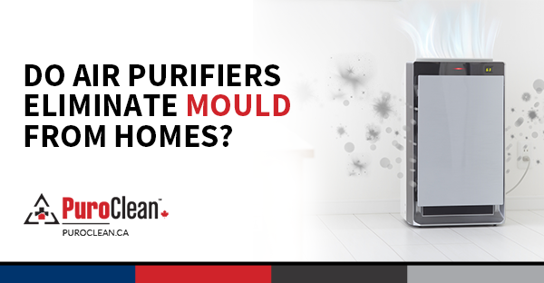 Do Air Purifiers Eliminate Mould from Homes?